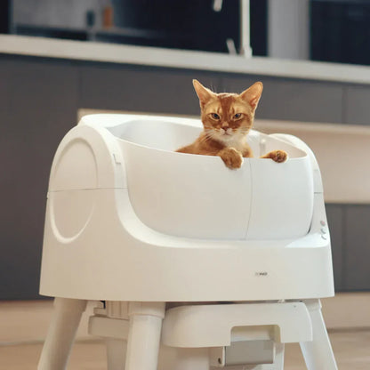 AutoScooper™ 11 Self-Cleaning Smart Cat Litter Box